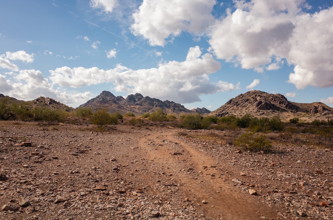 Builder sentiment runs soft as affordability strain subdues orders — Arizona real estate