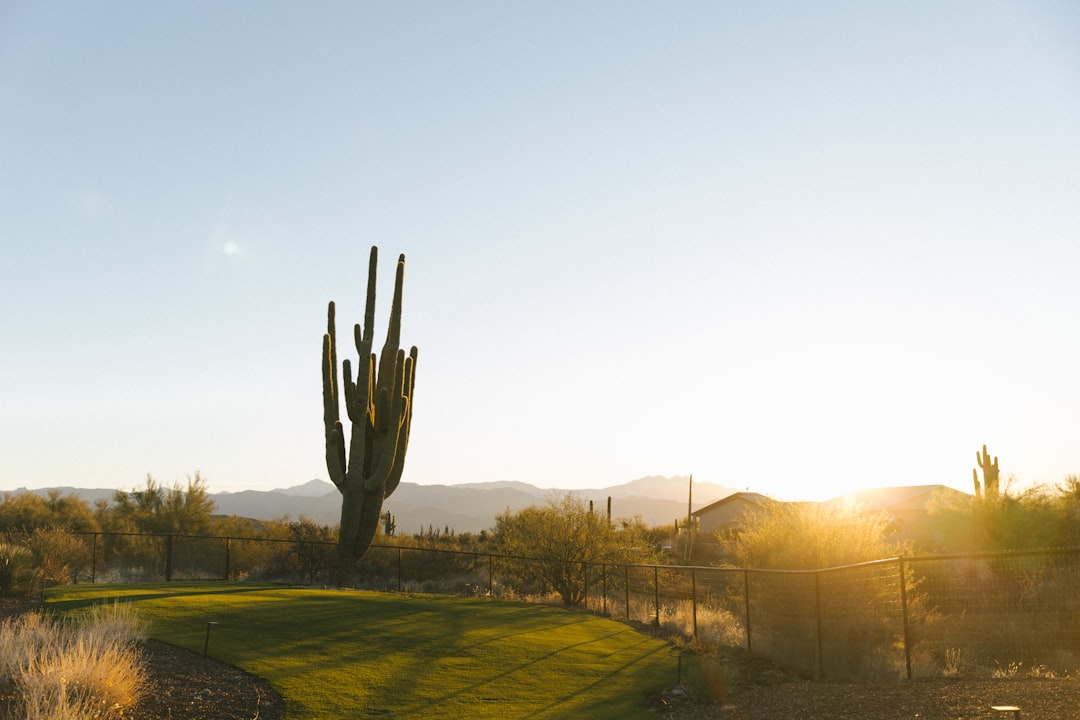 How to adjust your approach for different buyer personalities — Arizona real estate