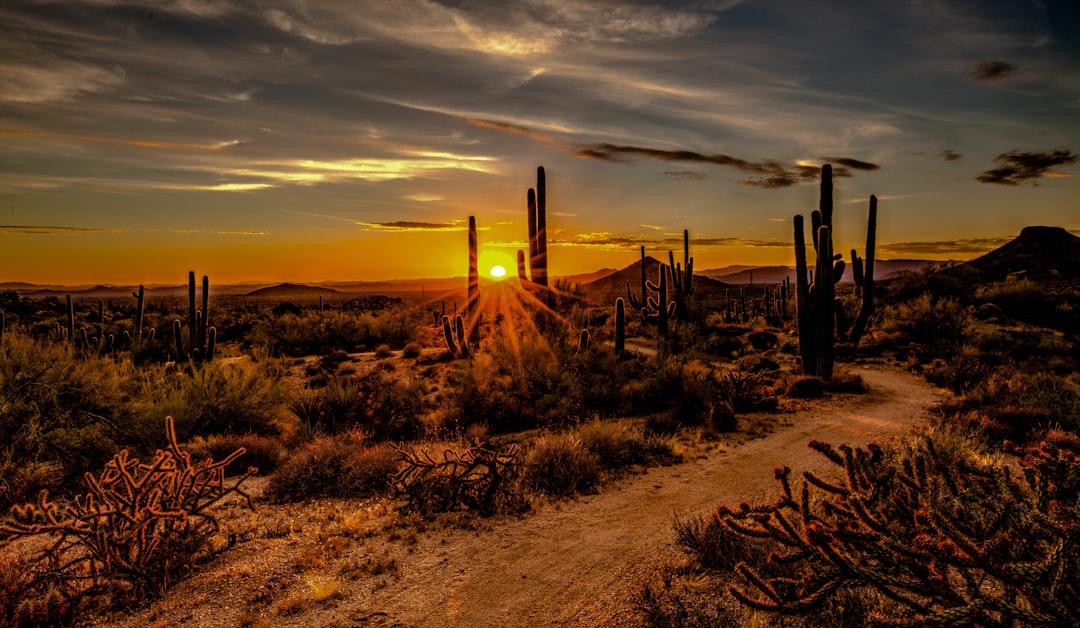 Lessons from shale guide data center land rush — Arizona real estate