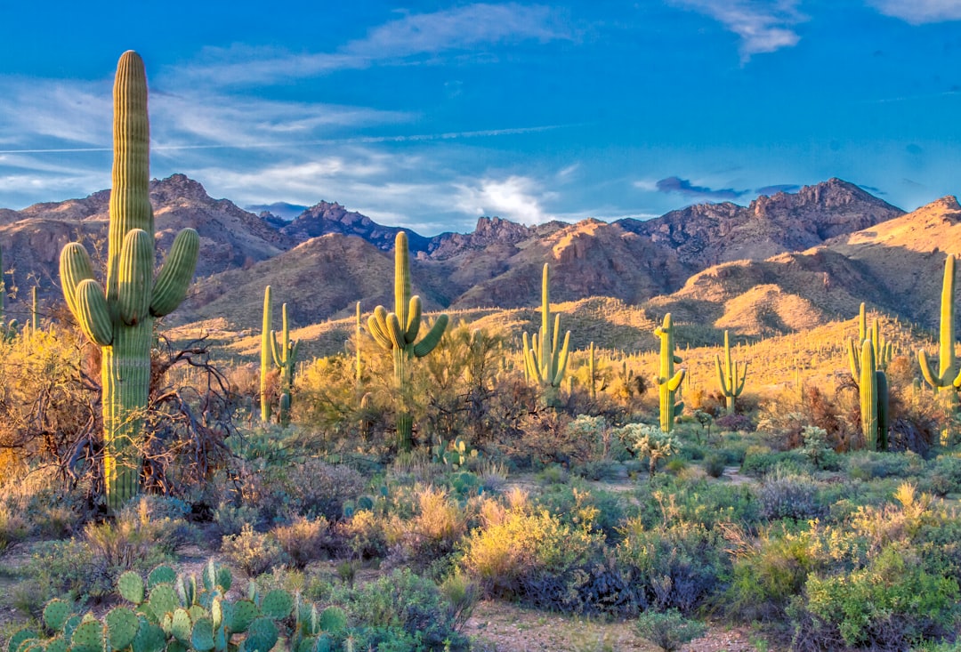 Luke Field reaches full occupancy with 1.1 million SF lease — Arizona real estate