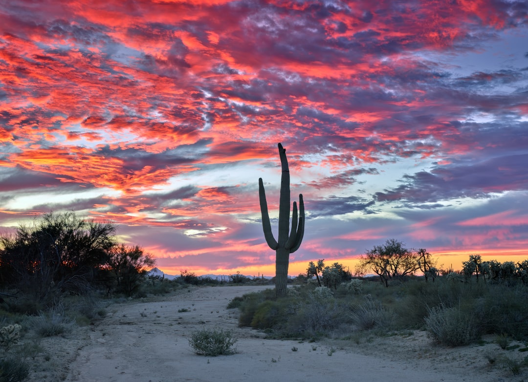 New home demand swoons even as sales prices hit a 5-year low — Arizona real estate