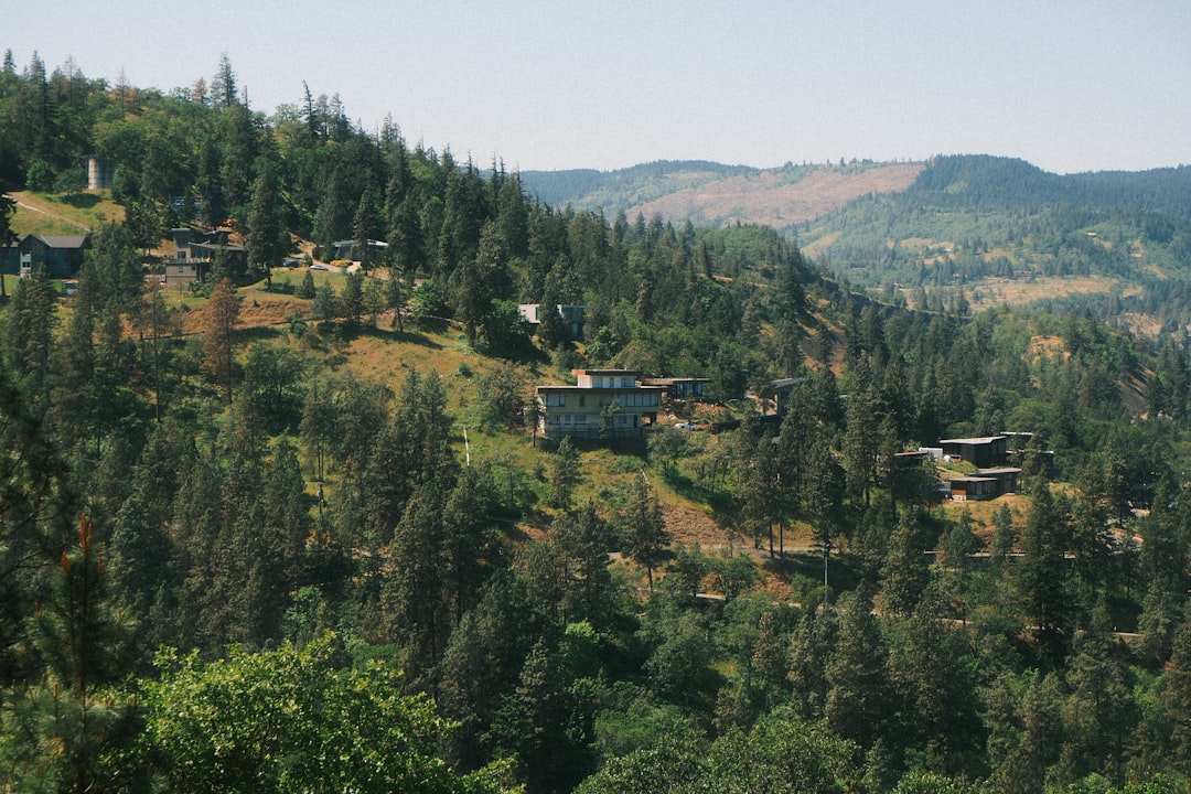 Pending Home Sales Plunge 5.4% in June as Prices Surge to Record High — Arizona real estate