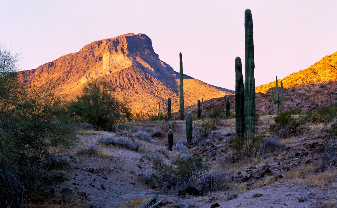 Plans move forward for indoor-outdoor Maricopa Entertainment Center — Arizona real estate