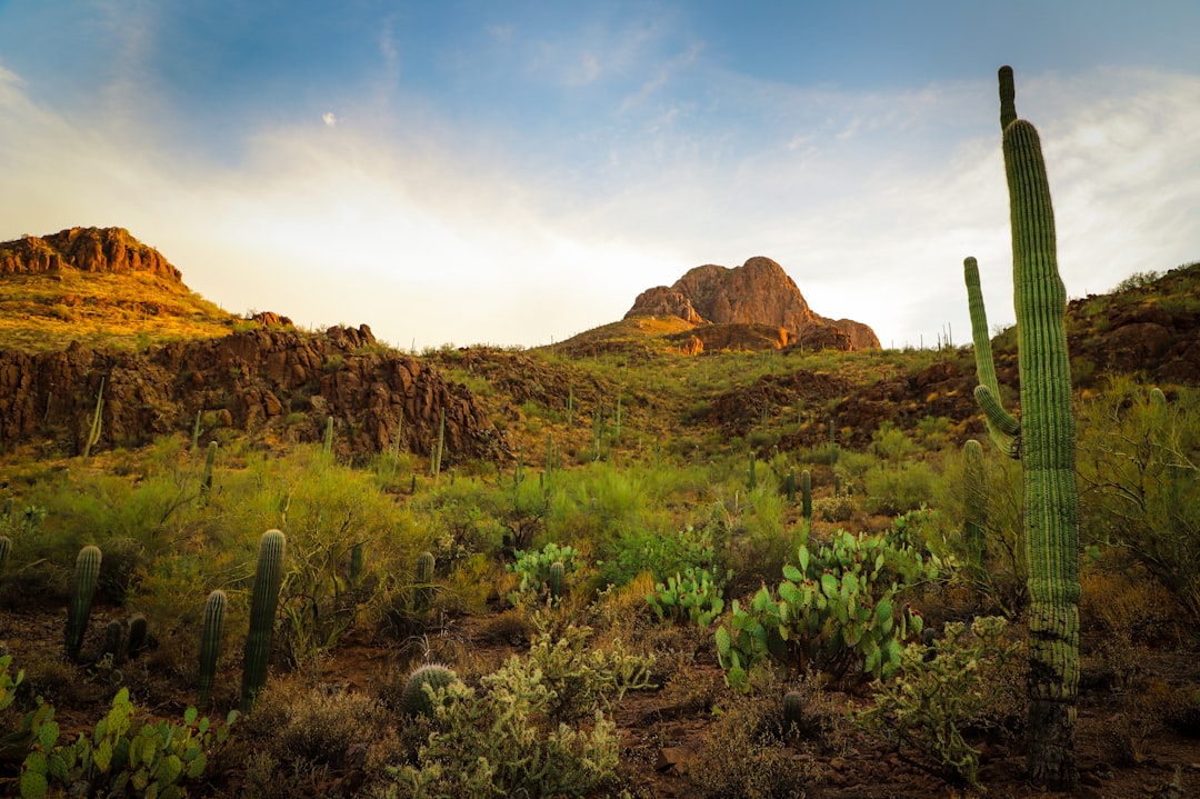 Renting's Edge Over Buying Is Shrinking as These 7 Markets Turn Buyer-Friendly — Arizona real estate