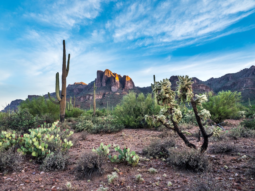 Why 2026 foreclosure gains are not a housing crash signal — Arizona real estate